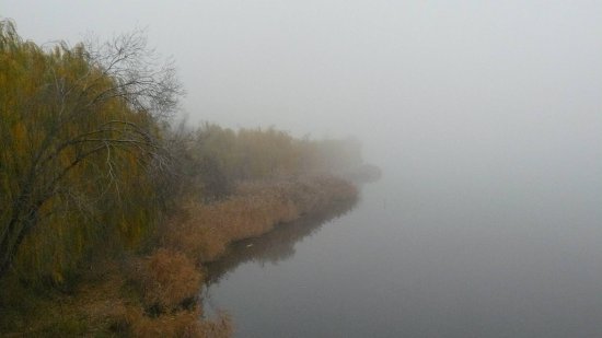водохранилище в тумане